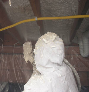 Seattle WA crawl space insulation